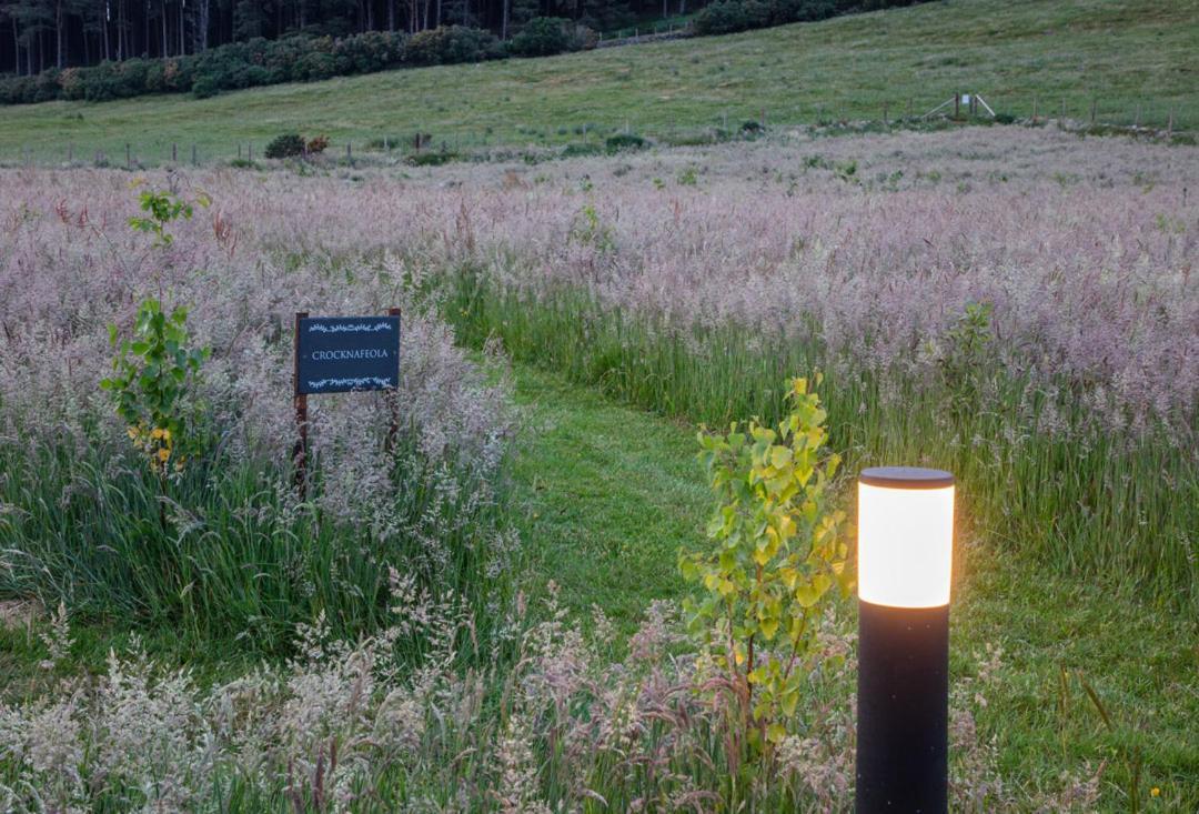Отель Oakwood Glamping Mourne Mountains Moyad Экстерьер фото